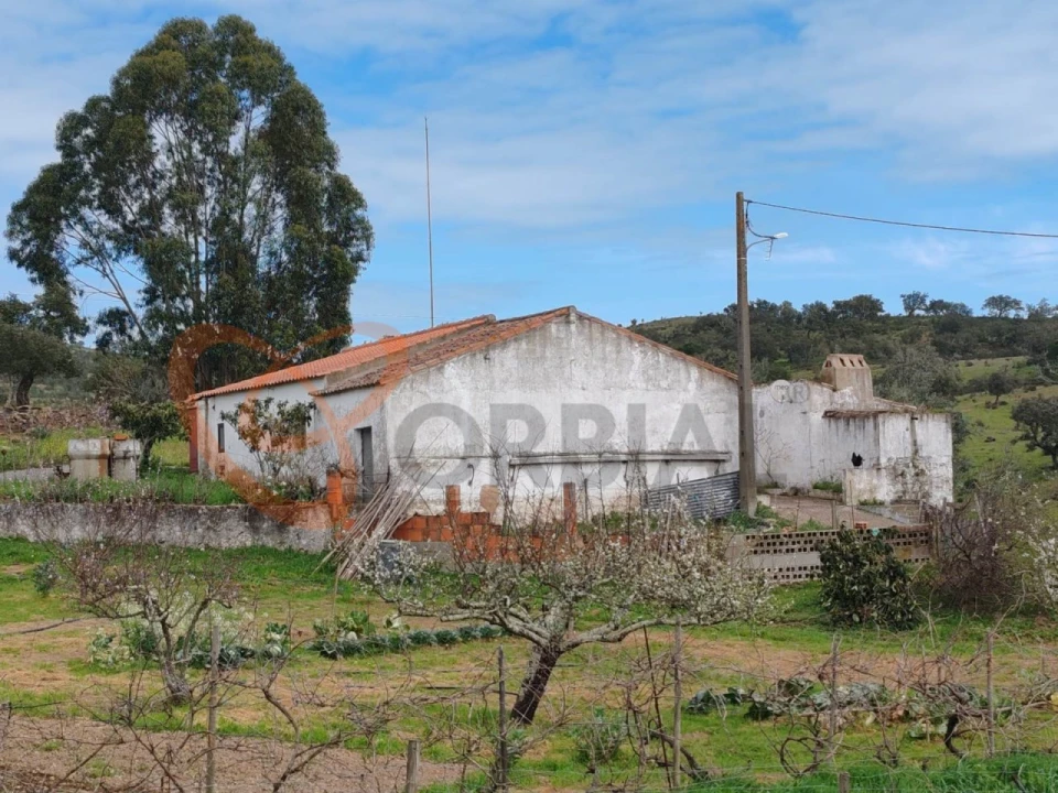 Quinta T2 para Venda em Santa Clara-A-Nova e Gomes Aires Foto 27