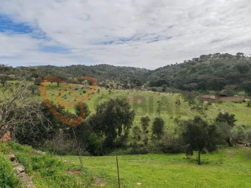 Quinta T2 para Venda em Santa Clara-A-Nova e Gomes Aires