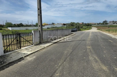 Terreno para Venda em São João das Lampas e Terrugem
