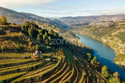 Moradia T7 para Venda em Salzedas