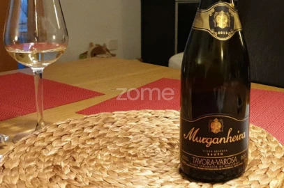 Moradia T7 para Venda em Salzedas