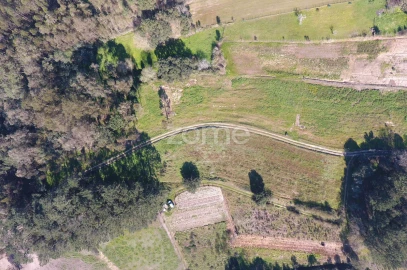 Terreno para Venda em Salir de Matos
