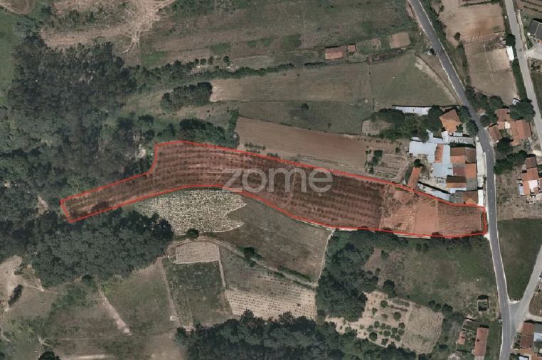 Terreno para Venda em Salir de Matos Foto 5