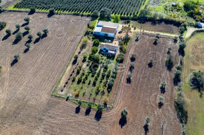 Quinta T3 para Venda em Beja (Salvador e Santa Maria da Feira)