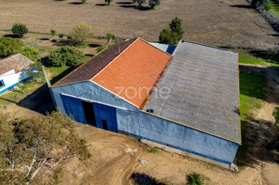 Quinta T3 para Venda em Beja (Salvador e Santa Maria da Feira)