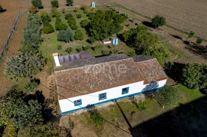 Quinta T3 para Venda em Beja (Salvador e Santa Maria da Feira)