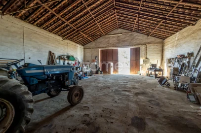 Quinta T3 para Venda em Beja (Salvador e Santa Maria da Feira)