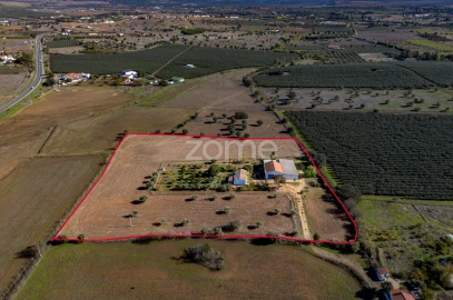 Quinta T3 para Venda em Beja (Salvador e Santa Maria da Feira)