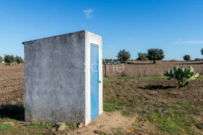 Quinta T3 para Venda em Beja (Salvador e Santa Maria da Feira)