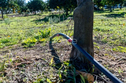 Quinta T3 para Venda em Beja (Salvador e Santa Maria da Feira)