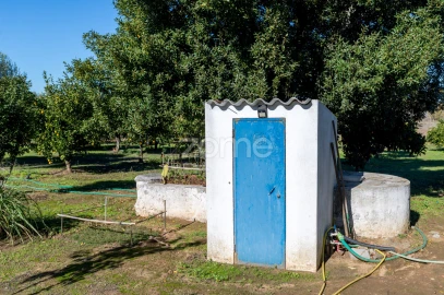 Quinta T3 para Venda em Beja (Salvador e Santa Maria da Feira)