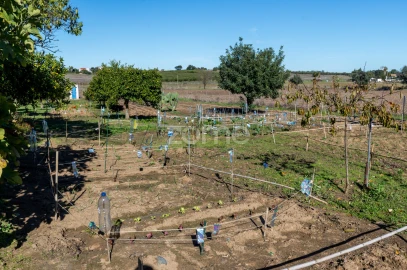 Quinta T3 para Venda em Beja (Salvador e Santa Maria da Feira)