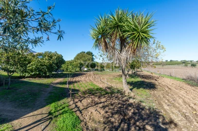 Quinta T3 para Venda em Beja (Salvador e Santa Maria da Feira)