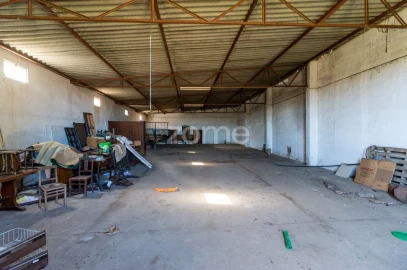 Quinta T3 para Venda em Beja (Salvador e Santa Maria da Feira)