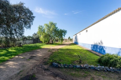 Quinta T3 para Venda em Beja (Salvador e Santa Maria da Feira)