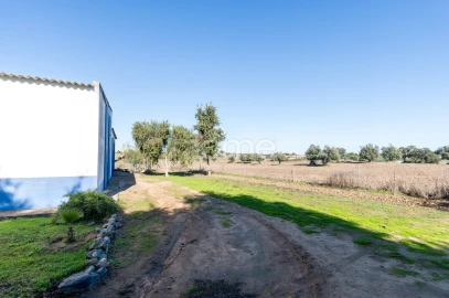 Quinta T3 para Venda em Beja (Salvador e Santa Maria da Feira)