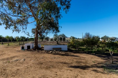 Quinta T3 para Venda em Beja (Salvador e Santa Maria da Feira)