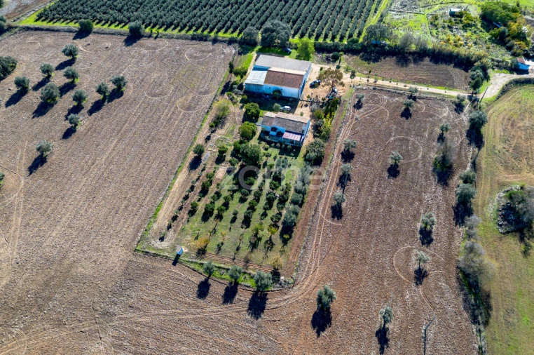 Quinta T3 para Venda em Beja (Salvador e Santa Maria da Feira) Foto 7
