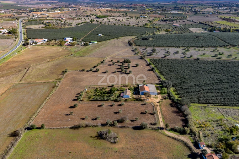 Quinta T3 para Venda em Beja (Salvador e Santa Maria da Feira) Foto 2