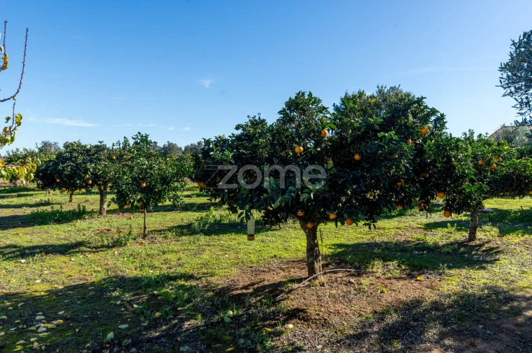 Quinta T3 para Venda em Beja (Salvador e Santa Maria da Feira) Foto 25