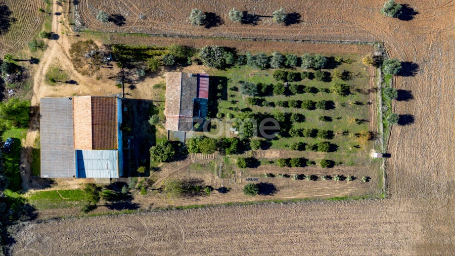 Quinta T3 para Venda em Beja (Salvador e Santa Maria da Feira)