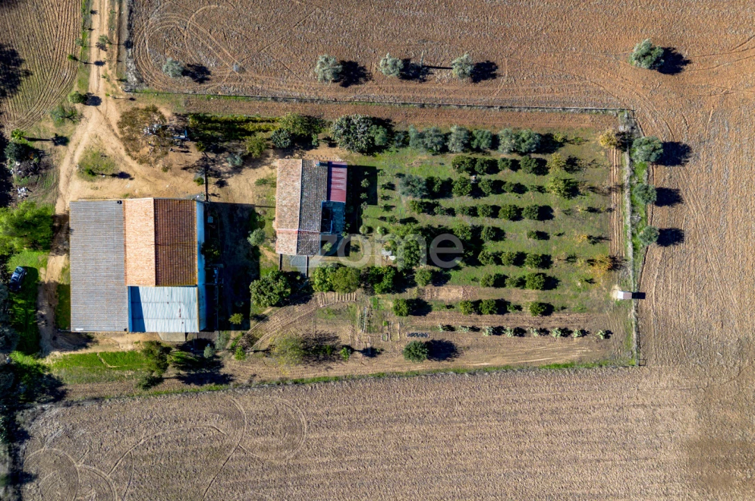 Quinta T3 para Venda em Beja (Salvador e Santa Maria da Feira) Foto 6