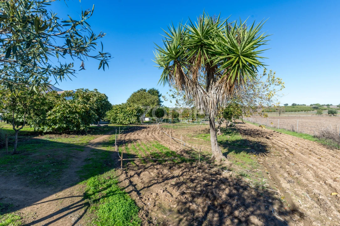 Quinta T3 para Venda em Beja (Salvador e Santa Maria da Feira) Foto 31