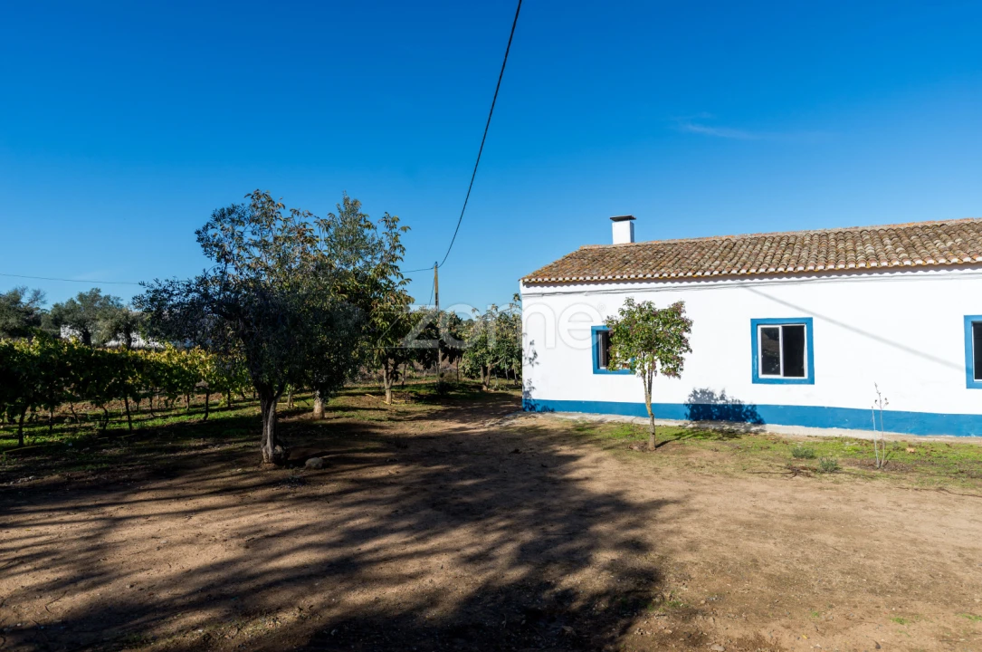 Quinta T3 para Venda em Beja (Salvador e Santa Maria da Feira) Foto 37