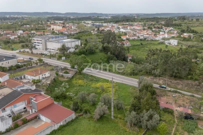 Terreno para Venda em Condeixa-A-Velha e Condeixa-A-Nova