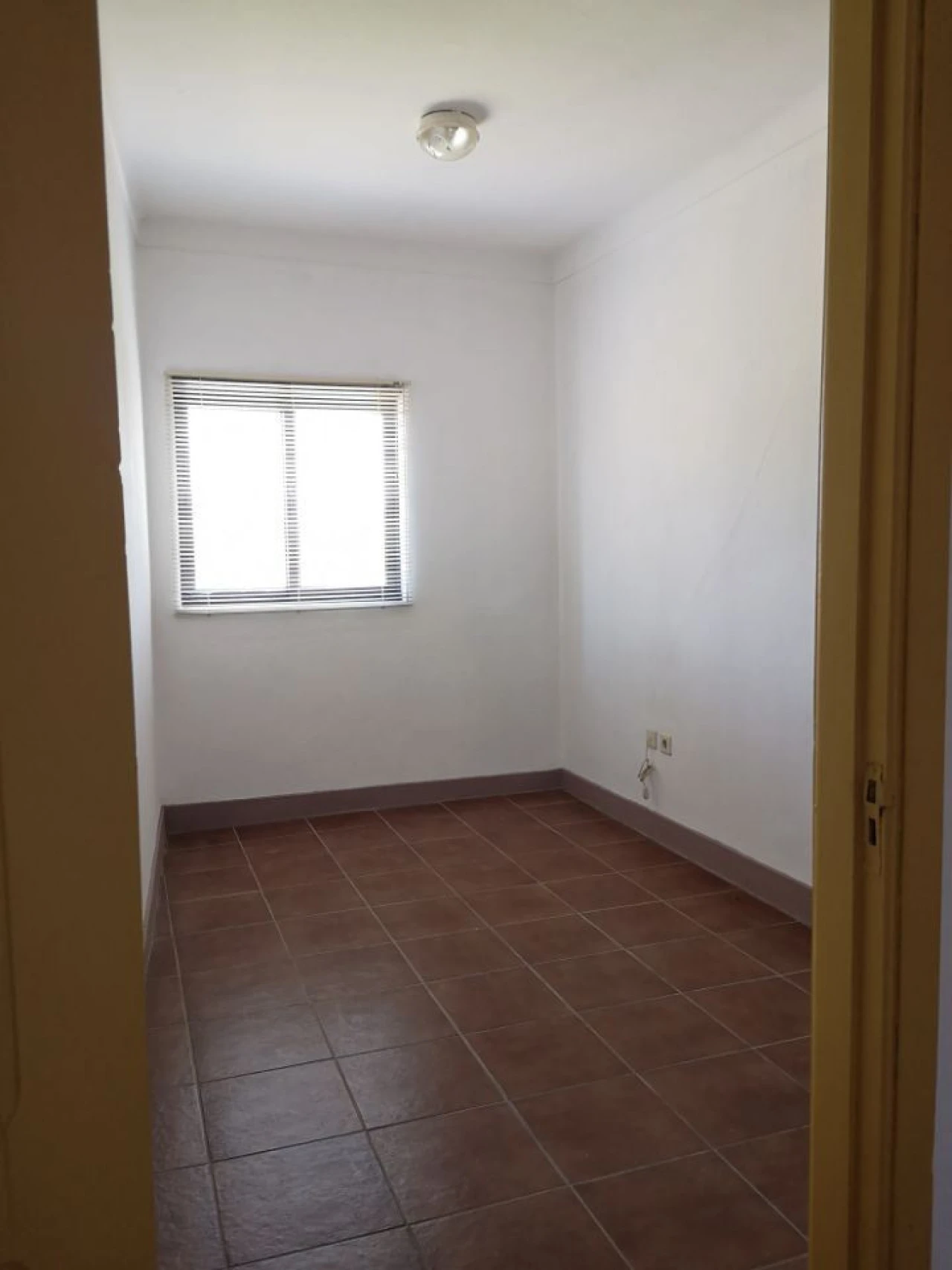 Moradia T4 para Venda em Escariz Foto 19