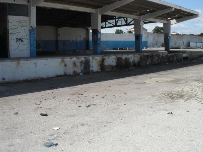 Terreno Misto para Venda em Montijo e Afonsoeiro Foto 7