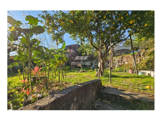 Moradia T3 para Venda em Calvos e Frades Foto 28