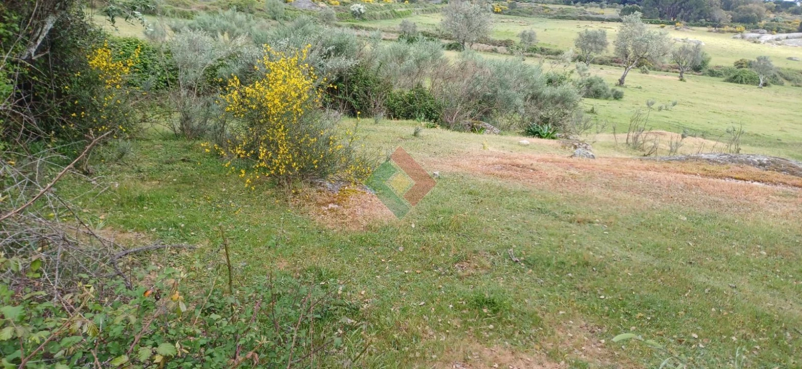 Terreno Agricola ou Rústico para Venda em Alpalhão Foto 1