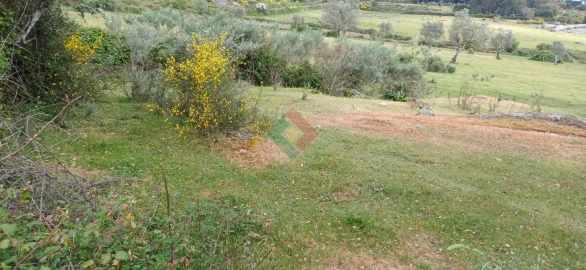 Terreno Agricola ou Rústico para Venda em Alpalhão