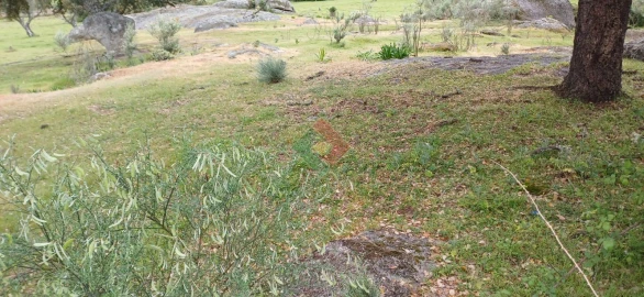 Terreno Agricola ou Rústico para Venda em Alpalhão