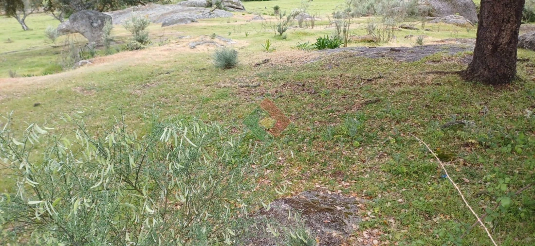 Terreno Agricola ou Rústico para Venda em Alpalhão Foto 2