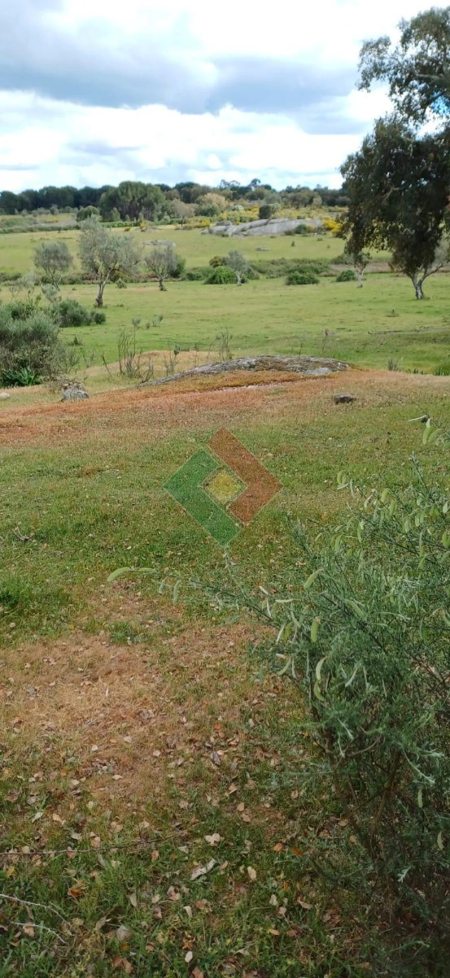 Terreno Agricola ou Rústico para Venda em Alpalhão Foto 3
