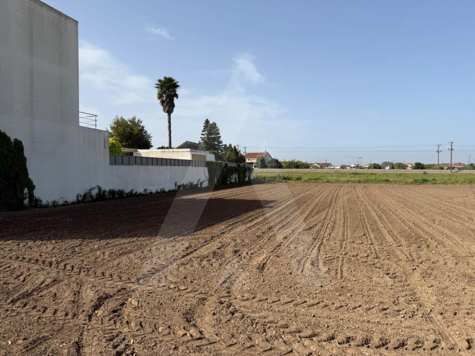 Terreno para Venda em São Bernardo Foto 4
