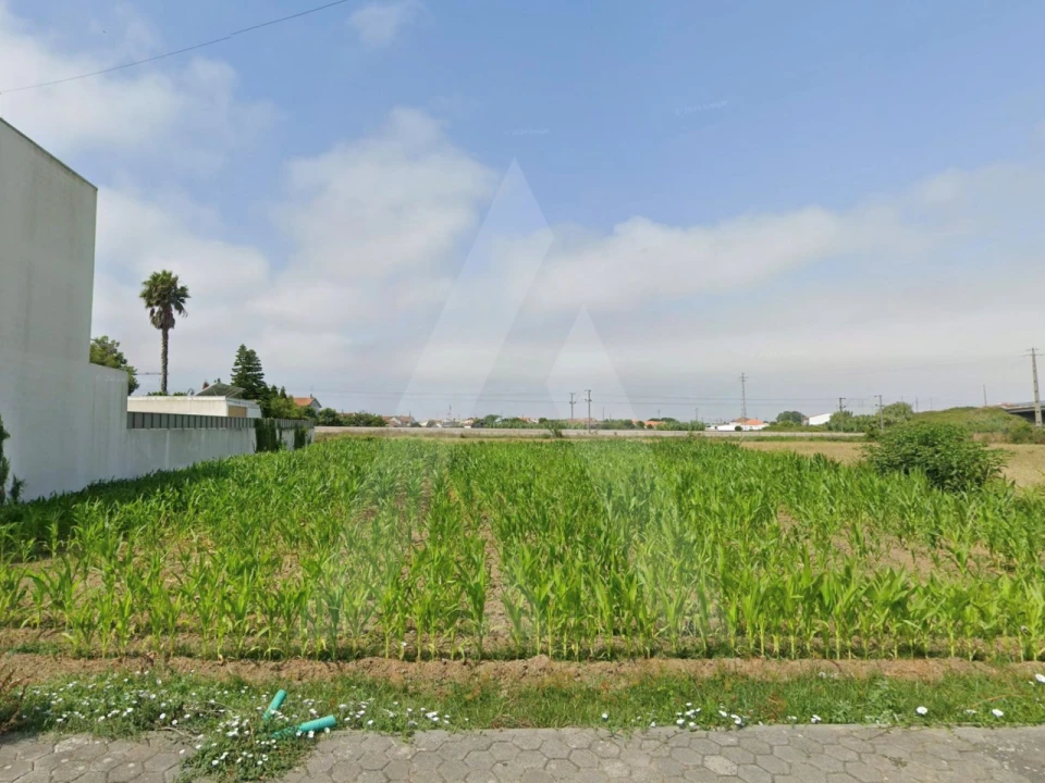 Terreno para Venda em São Bernardo Foto 8