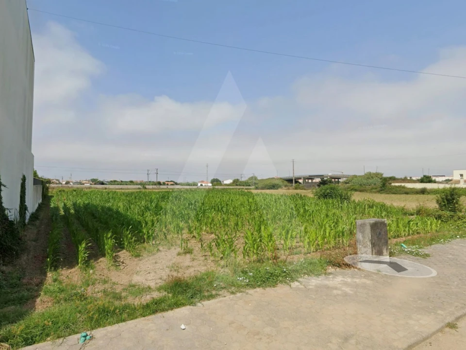 Terreno para Venda em São Bernardo Foto 9