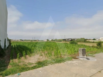 Terreno para Venda em São Bernardo