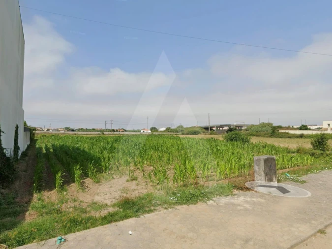 Terreno para Venda em São Bernardo Foto 9
