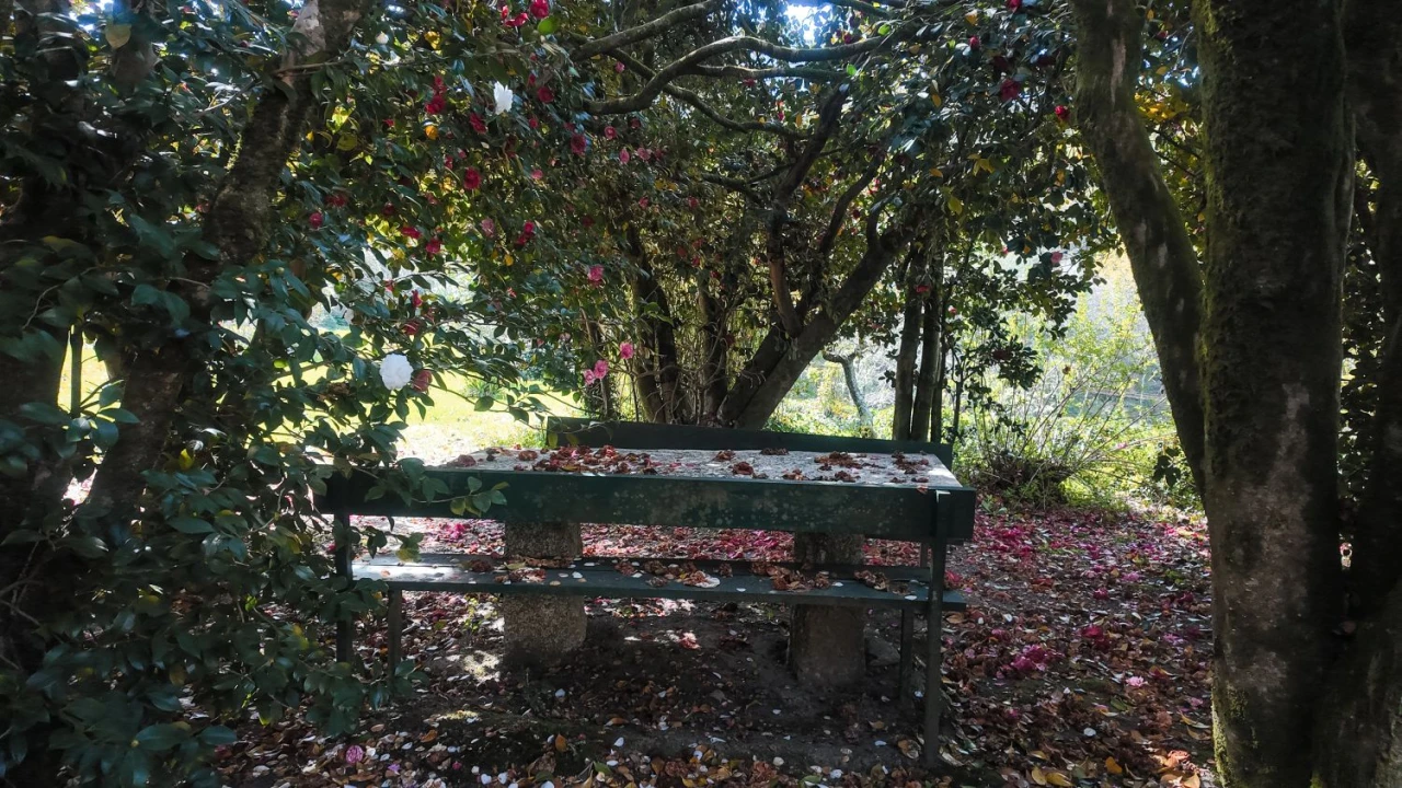 Quinta T3 para Venda em Cantelães Foto 51