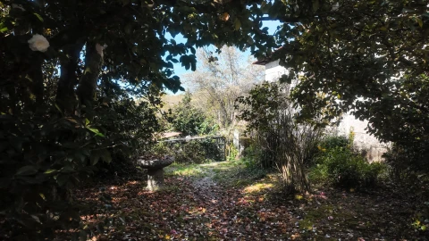 Quinta T3 para Venda em Cantelães