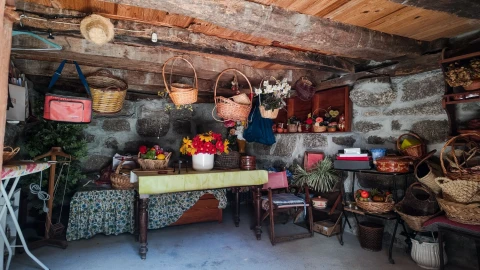 Quinta T3 para Venda em Cantelães