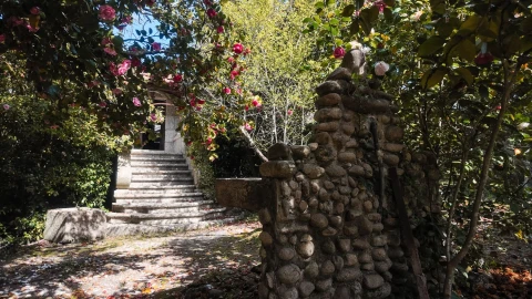 Quinta T3 para Venda em Cantelães