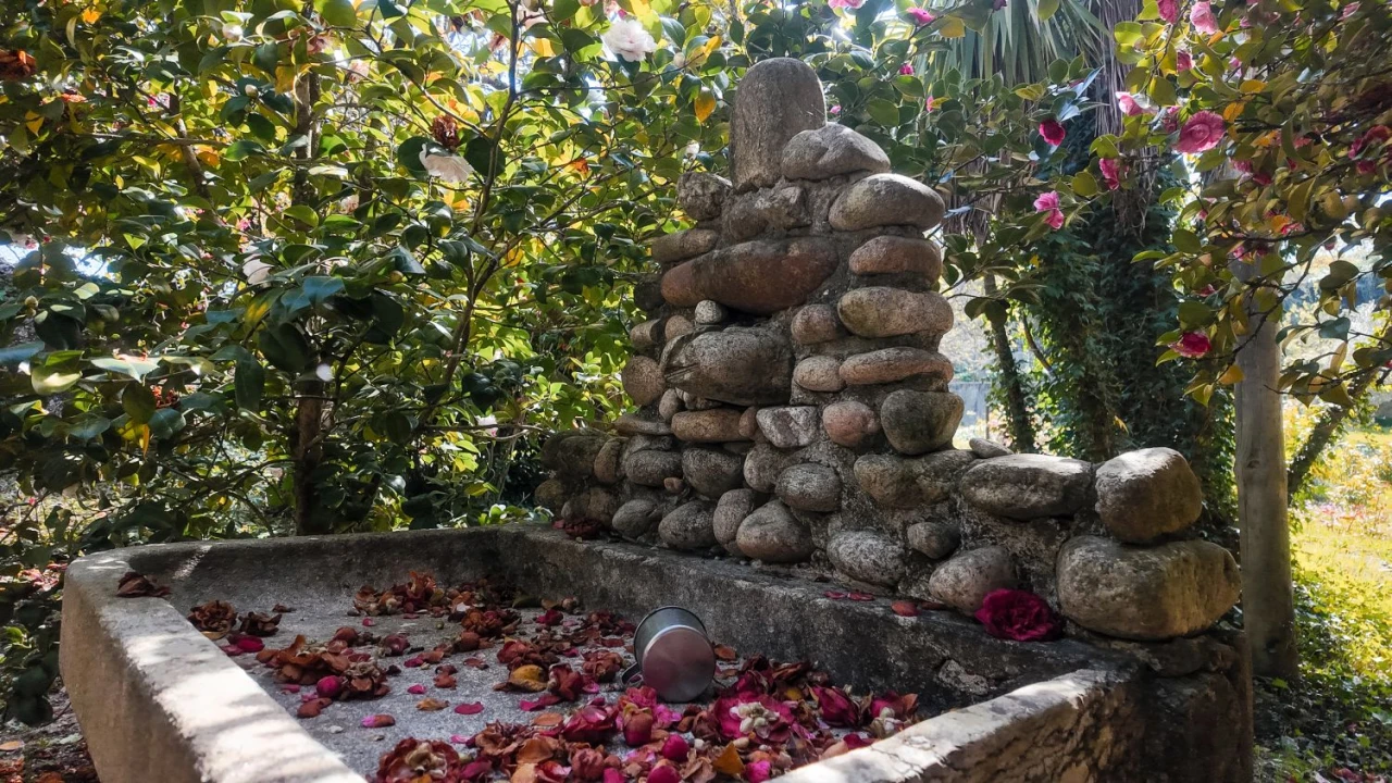 Quinta T3 para Venda em Cantelães Foto 50