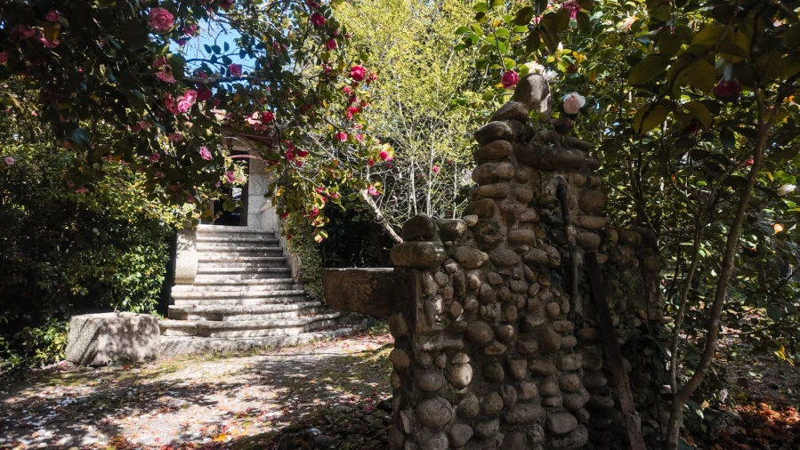 Quinta T3 para Venda em Cantelães Foto 49