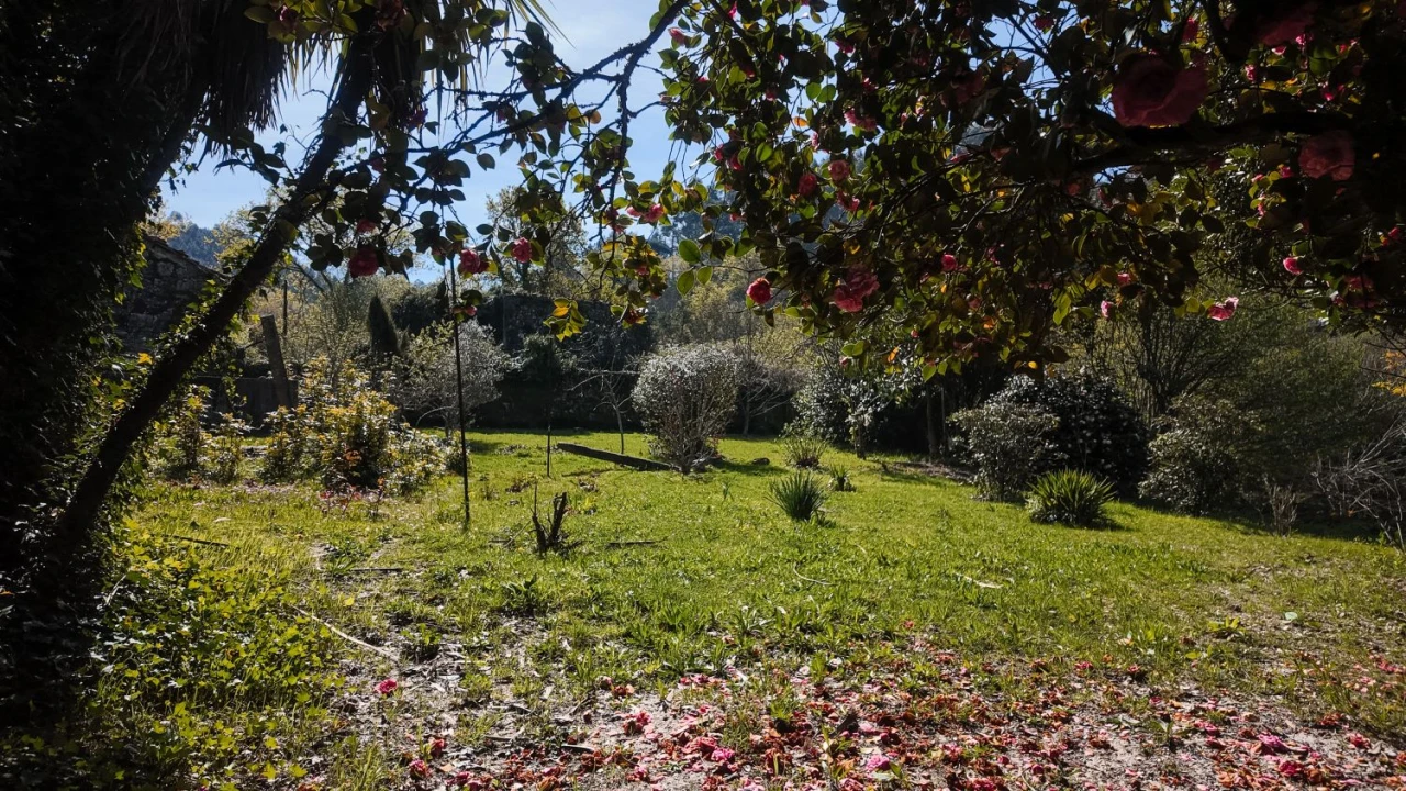 Quinta T3 para Venda em Cantelães Foto 53