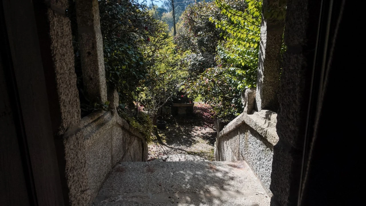 Quinta T3 para Venda em Cantelães Foto 47